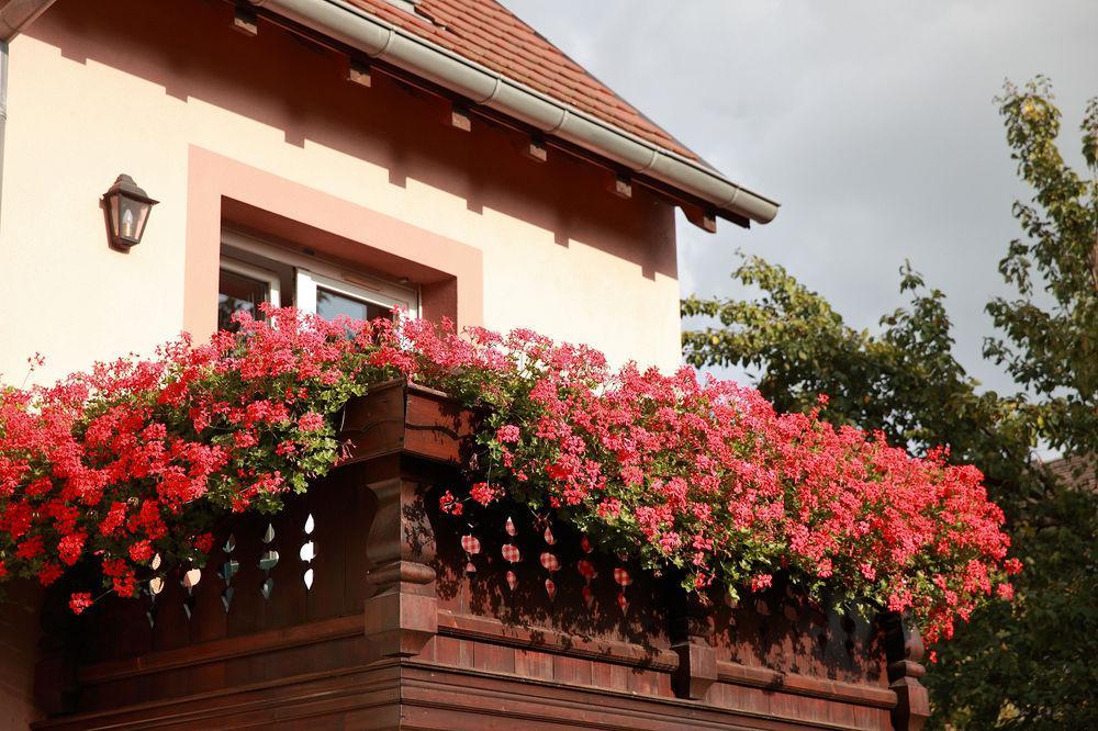 Les Portes De La Vallee Turckheim Dış mekan fotoğraf